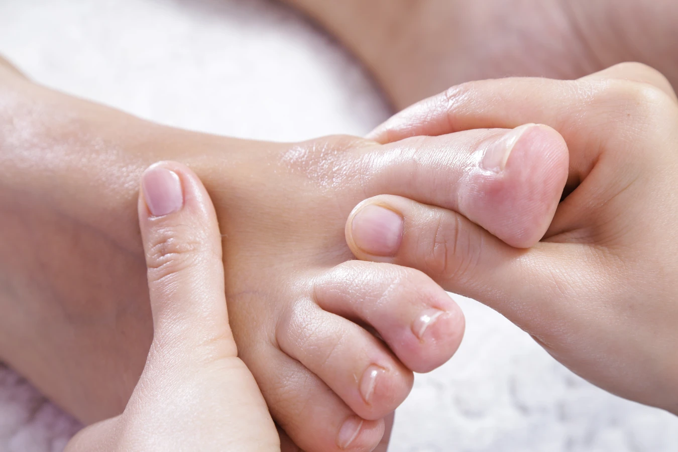 Czym zajmuje się podolog?