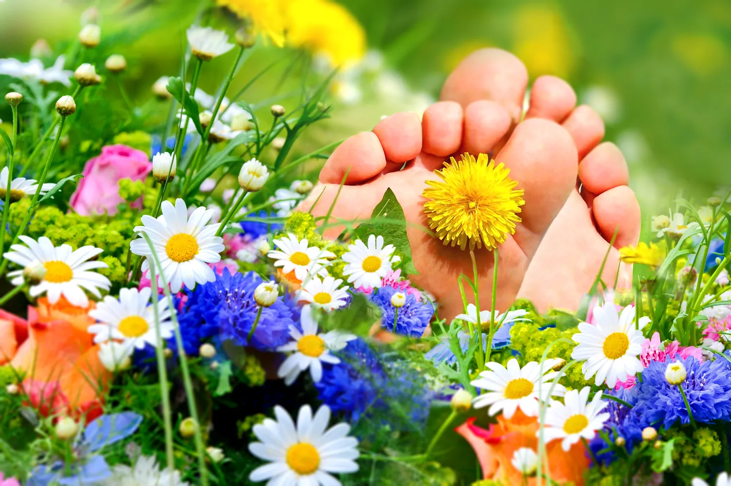 W jaki sposób poznamy dobrego podologa?